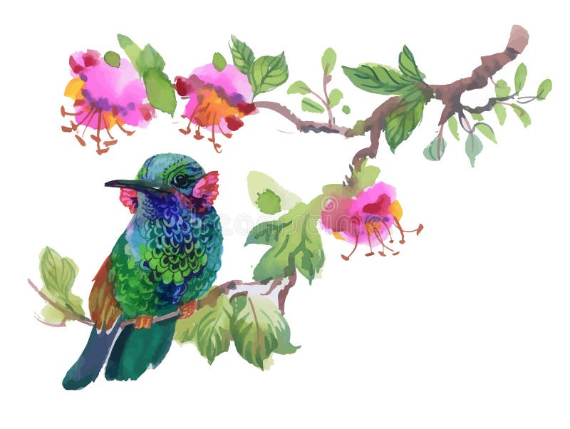 Uccello variopinto dell'acquerello sul ramo con le foglie verdi ed i fiori royalty illustrazione gratis