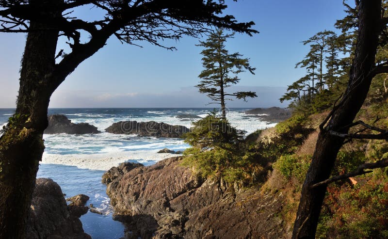 Ucluelet Trail, Vancouver Island