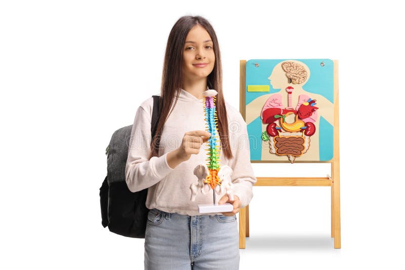 Uczennica trzymająca model kręgosłupa ludzkiego przed płytą z ludzkimi organami obraz stock
