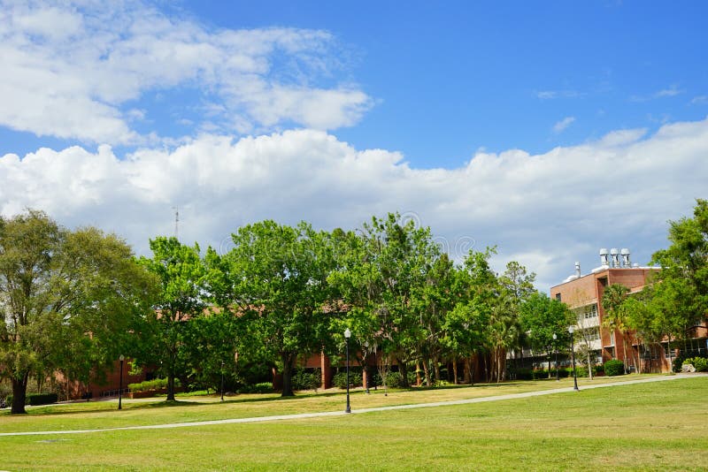 Century Tower, UF Campus stock image. Image of university 7708645