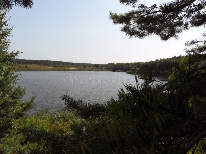 Ufer der Bucht im Wald am sonnigen Tag Ansicht hinter die Bäume lizenzfreie stockfotos Ufer der Bucht im Wald am sonnigen Tag Ansicht hinter die Bäume lizenzfreie stockfotos