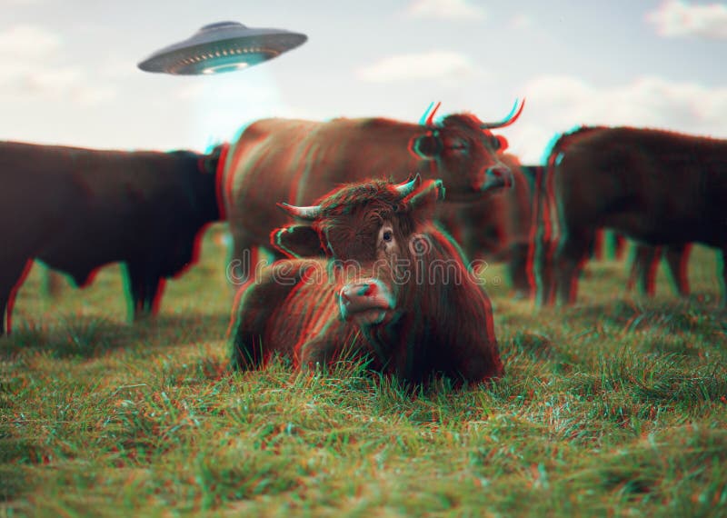 Ufo, futuristic and spaceship with cow on farm for science fiction, agriculture and universe. Galaxy, mission and outer space with spacecraft and alien abduction in countryside for planet and drone.