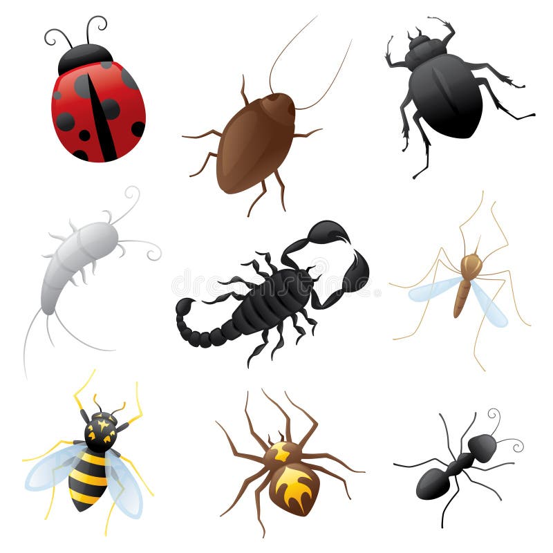 Crawly Insects Stock Illustrations – 2,370 Crawly Insects Stock Illustrations, Vectors & Clipart - Dreamstime Crawly Insects Stock Illustrations – 2,370 Crawly Insects Stock Illustrations, Vectors & Clipart - Dreamstime