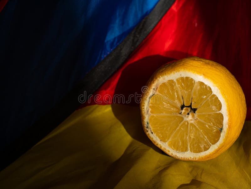 Ugly food trend. Spoiled lemon half with black mold close up on color background harsh shadow. Moldy citrus penicillin royalty free stock images