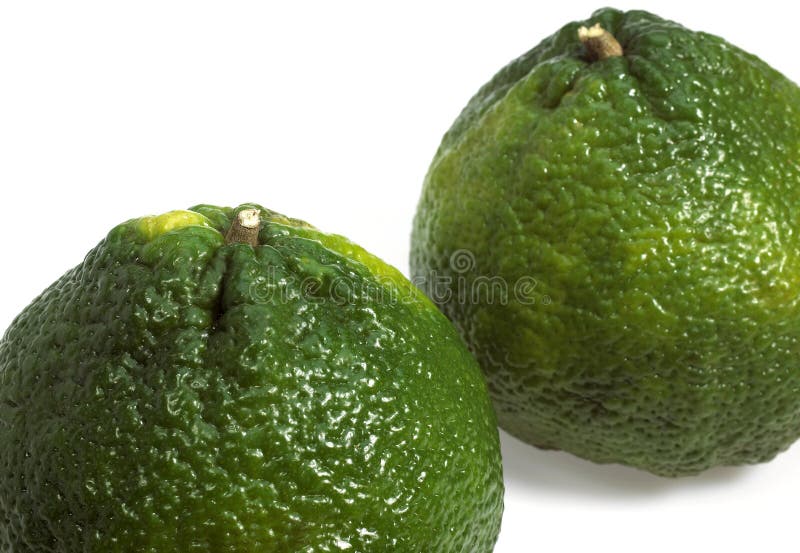 Ugly Grapefruit, Citrus Xtangelo, Fruits Against White Background Stock