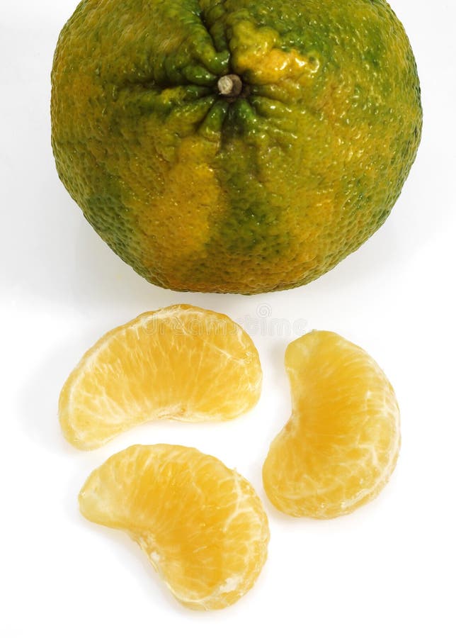 Ugly Grapefruit, Citrus Xtangelo, Fruits Against White Background Stock