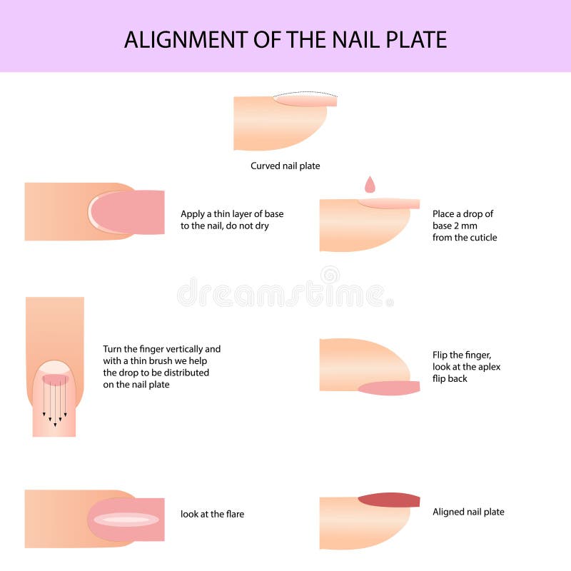 Alignment of the nail plate. Professional manicure guide, Vector, infographics. Alignment of the nail plate. Professional manicure guide, Vector, infographics