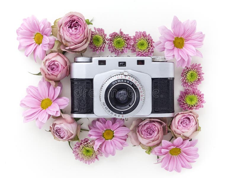 Uitstekende camera en roze bloem op witte achtergrond Vlak leg, hoogste mening stock afbeeldingen Uitstekende camera en roze bloem op witte achtergrond Vlak leg, hoogste mening stock afbeeldingen