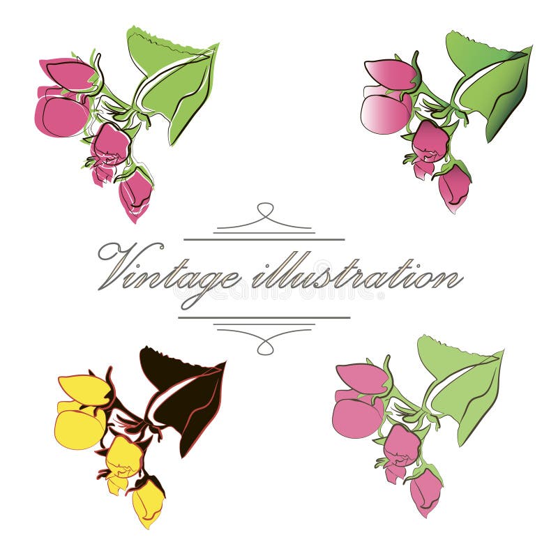 Uitstekende inzameling van vectorknopappel stock illustratie Uitstekende inzameling van vectorknopappel stock illustratie