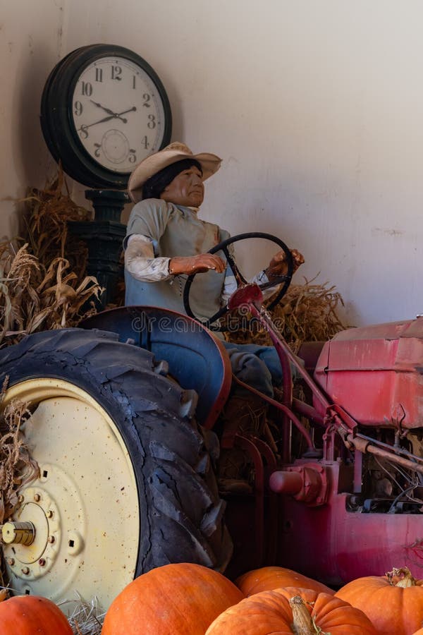 Uitstekende mannequin van Spaanse inheemse amercianbedrijfsmedewerker die een oude antieke tractor met grote oranje pompoenen in stock afbeeldingen Uitstekende mannequin van Spaanse inheemse amercianbedrijfsmedewerker die een oude antieke tractor met grote oranje pompoenen in stock afbeeldingen