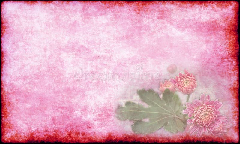 Uitstekende mooie roze chrysant met de groene kaart van de bladvakantie op oude roze document achtergrond royalty-vrije illustratie Uitstekende mooie roze chrysant met de groene kaart van de bladvakantie op oude roze document achtergrond royalty-vrije illustratie