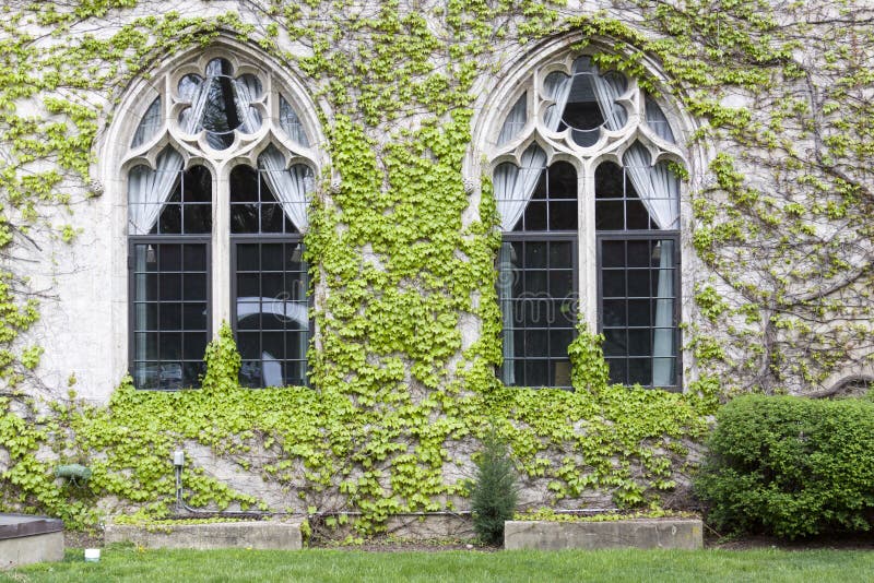 Vintage Windows royalty-vrije stock fotografie