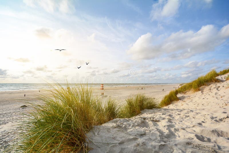 Uitzicht op mooi landschap met strand en zandduinen nabij henne strand noordzee kust landschap jutland denmark