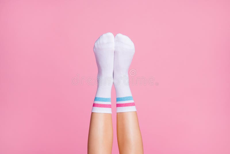 Cropped close-up view of nice vertical feminine legs wearing white casual soft cotton comfortable socks new brandy collection, isolated over pink pastel color background. Cropped close-up view of nice vertical feminine legs wearing white casual soft cotton comfortable socks new brandy collection, isolated over pink pastel color background