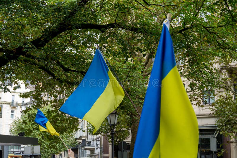 Ukrainian Flags at a Protest Against War in Ukraine in Baden Baden