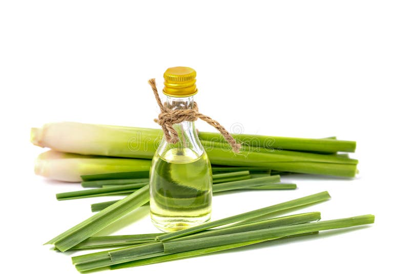 Ulei de iarba-limonică într-o sticlă transparentă de lemongrass proaspăt, plasat separat royalty free stock images