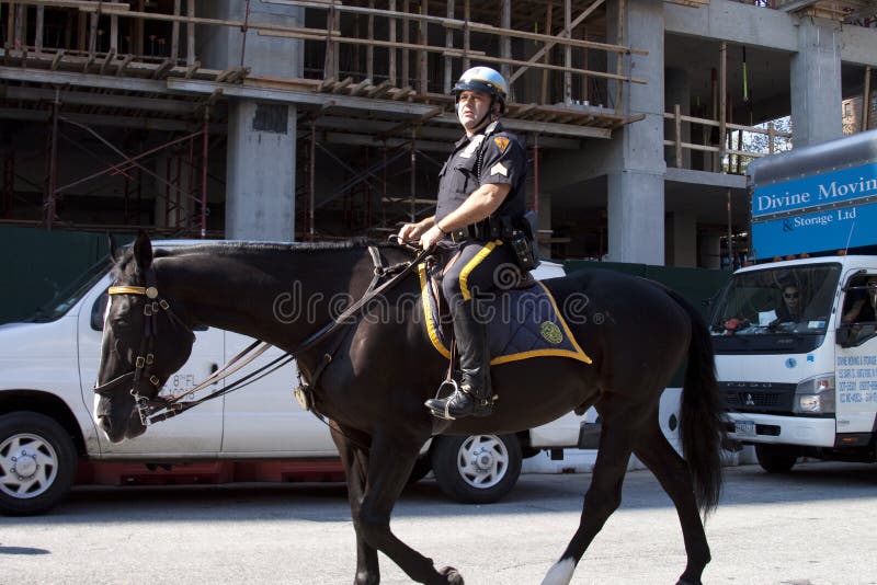 Cavalo que Pula quando Monta 