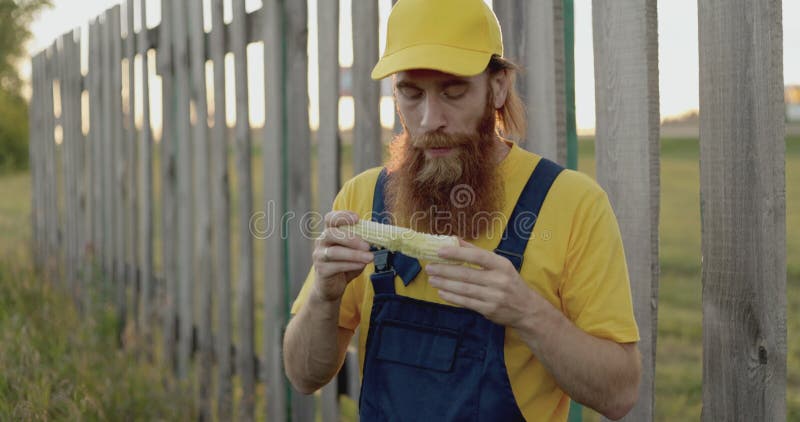 Um agricultor num campo de milho