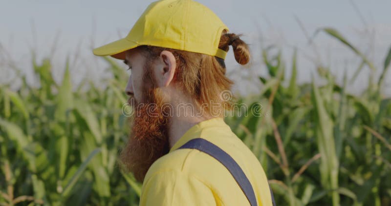 Um agricultor num campo de milho