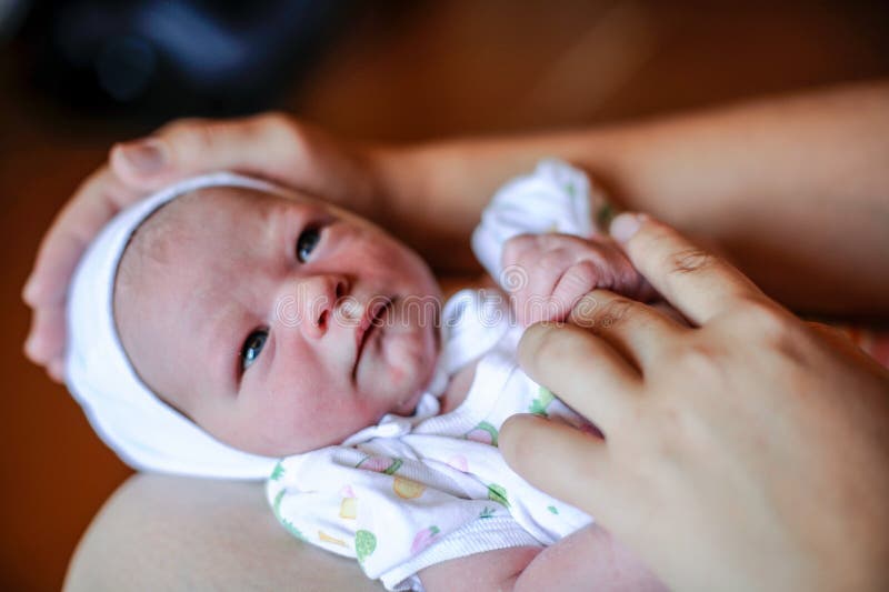 Um bebê recentemente carregado Os primeiros dias da vida Bebê e mamã felizes em casa Alimentando, limpando, procedimentos higiêni imagens de stock Um bebê recentemente carregado Os primeiros dias da vida Bebê e mamã felizes em casa Alimentando, limpando, procedimentos higiêni imagens de stock