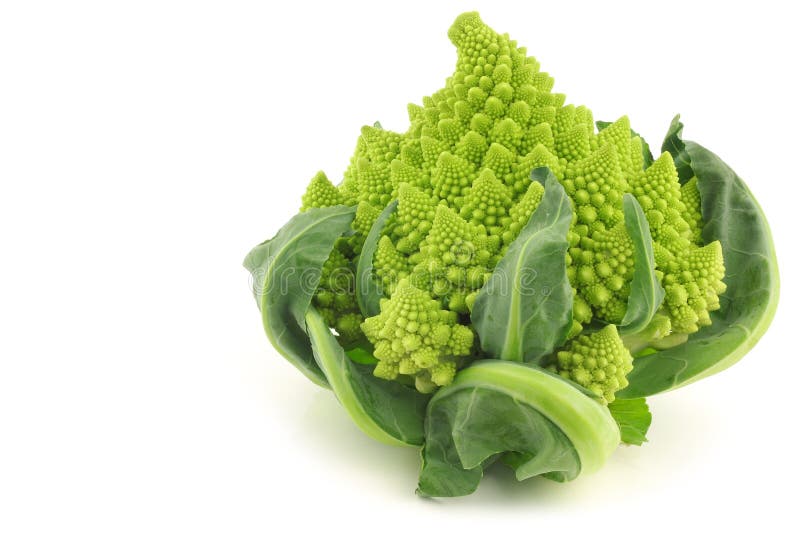 One whole Romanesco broccoli (Brassica oleracea) on a white background. One whole Romanesco broccoli (Brassica oleracea) on a white background