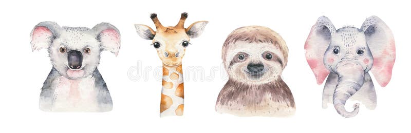 Um cartaz com uma panda, uma preguiça, um girafa e uma coala do bebê Ilustra??o animal tropical do elefante dos desenhos animados Um cartaz com uma panda, uma preguiça, um girafa e uma coala do bebê Ilustra??o animal tropical do elefante dos desenhos animados