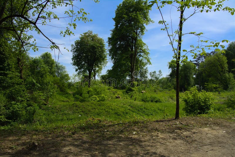Um cemitério abandonado velho, cruzes e sepulturas cobertos de vegetação com o tal imagem de stock Um cemitério abandonado velho, cruzes e sepulturas cobertos de vegetação com o tal imagem de stock