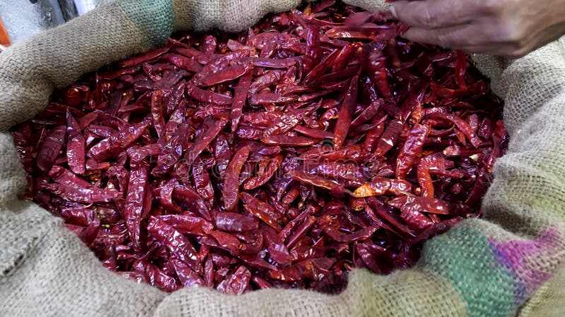 Um cliente pega pimentão vermelho desidratado no mercado de especiarias de chandni chowk