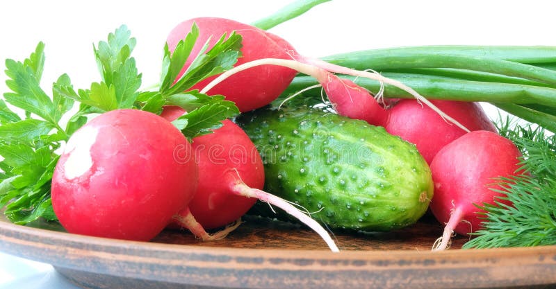 A set of ingredients for preparing a vitamin salad. The set of vegetables includes Radish, cucumber, spring onion, parsley and dill. Usually, vegetable salads are greased with vegetable oil, ground black pepper, salt, and spices are added to taste. Vegetables are placed on a clay plate. Red and green colors predominate. A set of ingredients for preparing a vitamin salad. The set of vegetables includes Radish, cucumber, spring onion, parsley and dill. Usually, vegetable salads are greased with vegetable oil, ground black pepper, salt, and spices are added to taste. Vegetables are placed on a clay plate. Red and green colors predominate.