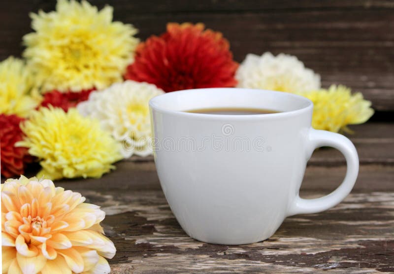 Um copo do café preto e as dálias colorem a flor na tabela Fundo borrado foto de stock Um copo do café preto e as dálias colorem a flor na tabela Fundo borrado foto de stock