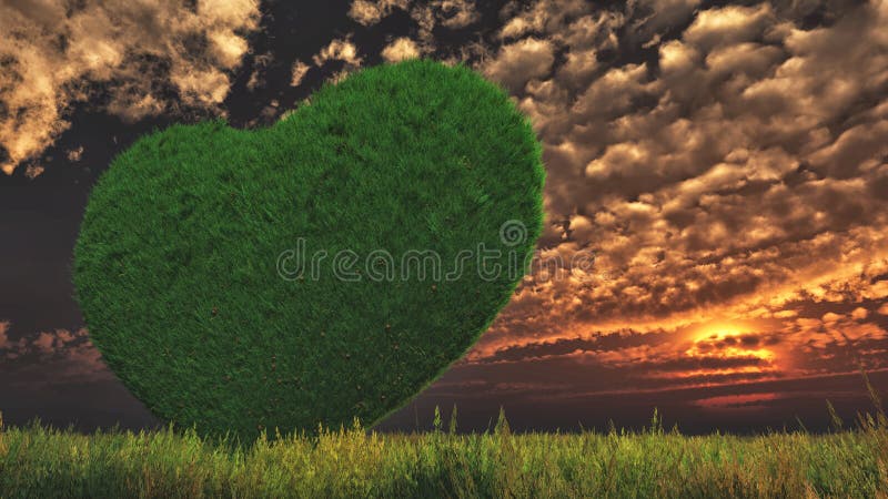 Um coração gramíneo em um prado verde e nuvens de stratus na noite foto de stock Um coração gramíneo em um prado verde e nuvens de stratus na noite foto de stock