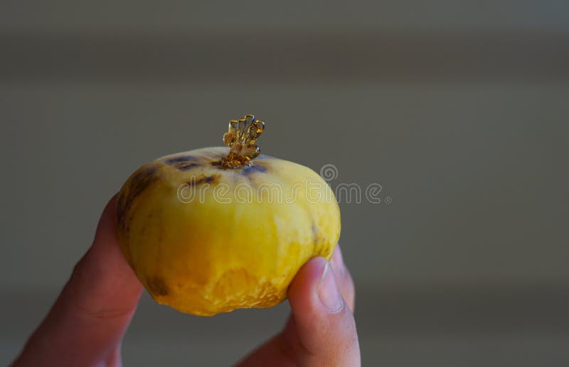 Menina no espelho foto de stock. Imagem de peito, atleticismo - 5363204