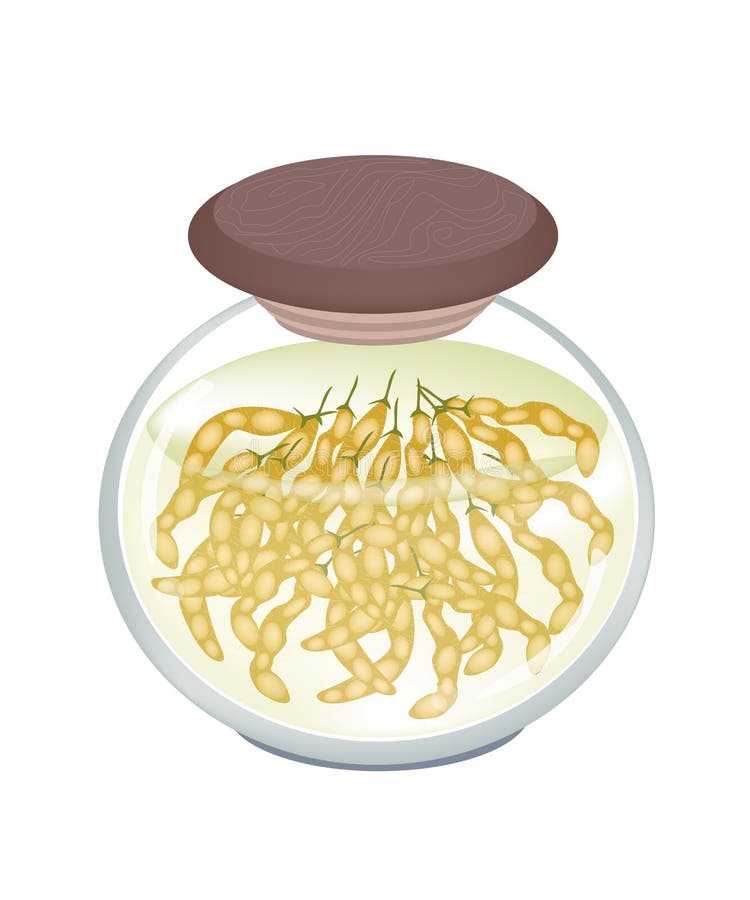 Soja, Vetor De Edamame Cartoon Edamame Green Beans Isolado Em Fundo