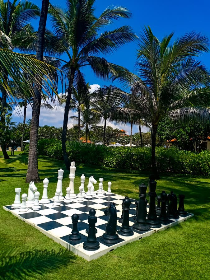 Tabuleiro De Xadrez Em Um Jardim Do Hotel Em Jamaica Foto de Stock