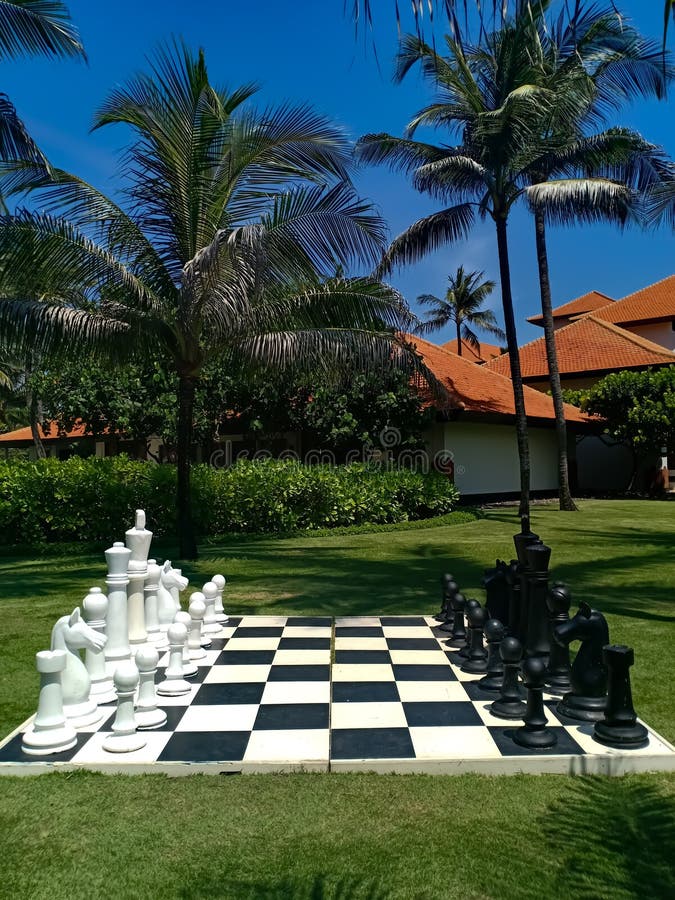 Tabuleiro De Xadrez Em Um Jardim Do Hotel Em Jamaica Foto de Stock