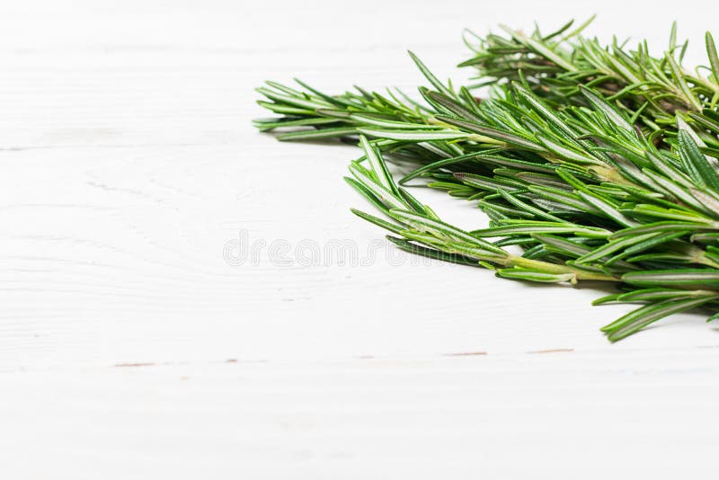 Um grupo de alecrins perfumados frescos em um fundo branco Copie o espa?o Foco seletivo fotografia de stock royalty free Um grupo de alecrins perfumados frescos em um fundo branco Copie o espa?o Foco seletivo fotografia de stock royalty free