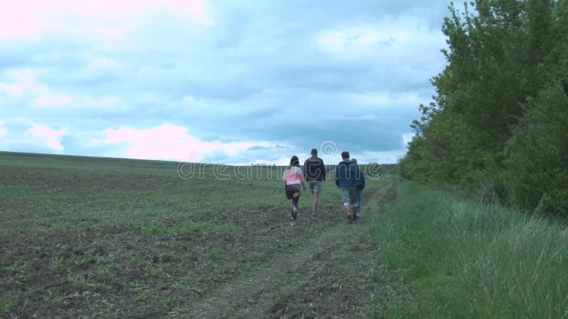 Um grupo de amigos está caminhando na caminhada da natureza As jovens mulheres e os homens estão andando ao longo do campo ao lon