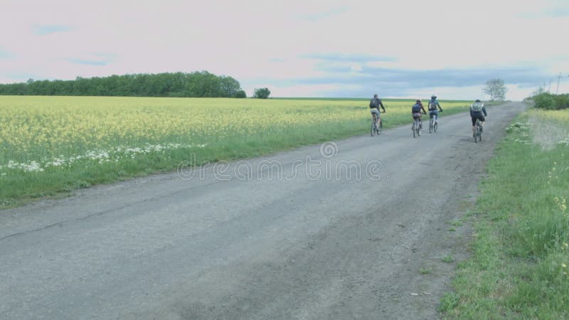 Um grupo de ciclistas viaja ao longo da estrada após um campo amarelo Licença dos turistas em bicicletas na estrada