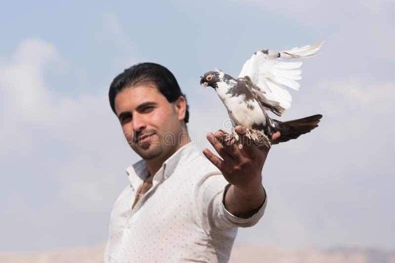 Um homem segurando uma pomba com orgulho fotografia de stock royalty free