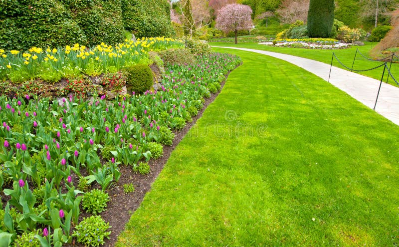 Pathway in a garden with lush green lawn and tulip flower bed. Pathway in a garden with lush green lawn and tulip flower bed