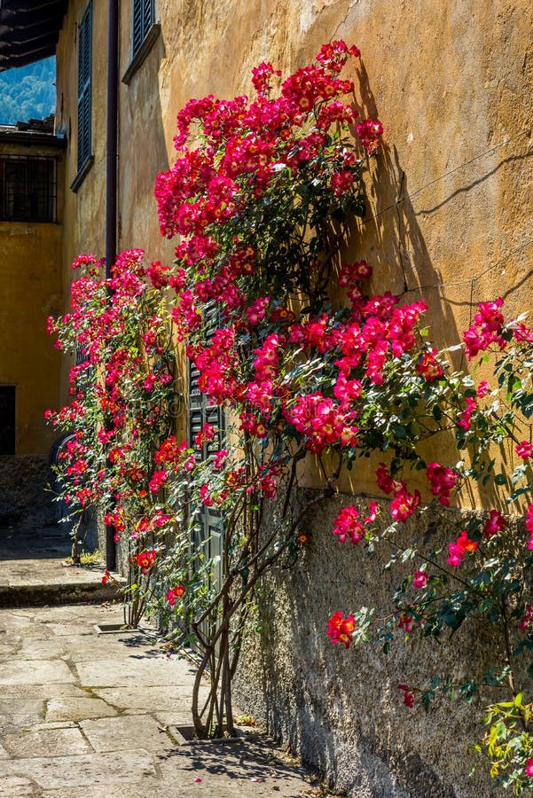 Um jardim italiano do estilo clássico em Tirano no italiano Valtellina imagem de stock Um jardim italiano do estilo clássico em Tirano no italiano Valtellina imagem de stock
