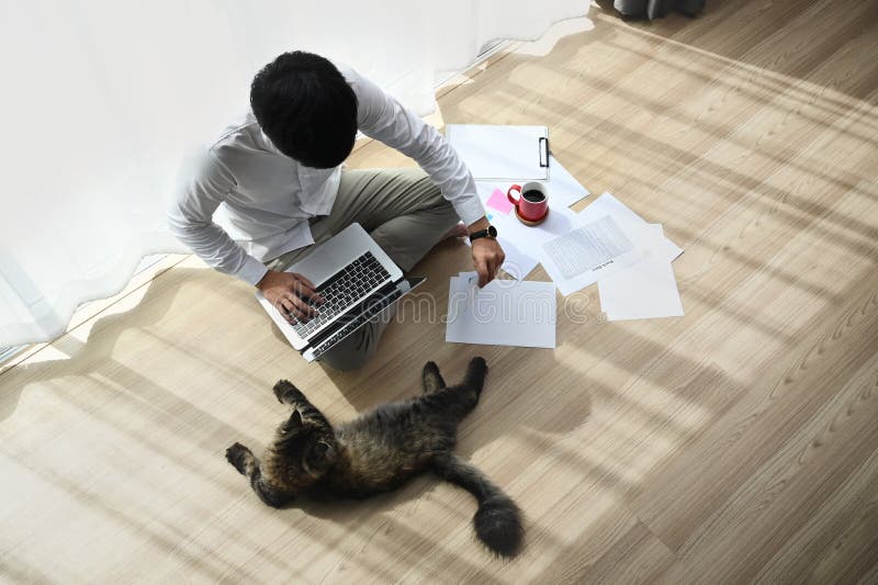 Um jovem atraente que trabalha num computador portátil enquanto se senta com um gato no chão em casa imagem de stock