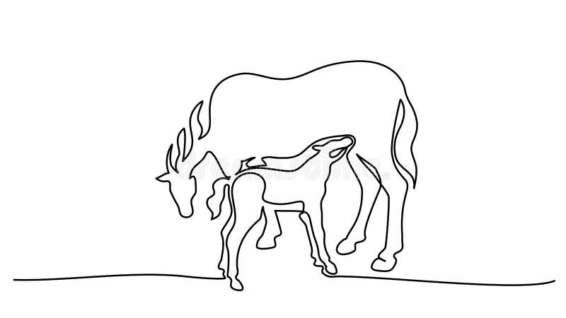 Como desenhar um potro / cavalo 
