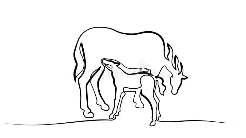 Fofo De Filhote. Cavalo. Objeto Isolado Em Um Fundo Branco. Criança Animal  De Tipo Alegre. Desenho Animado. Engraçado Ilustração do Vetor - Ilustração  de estilo, animal: 218272294