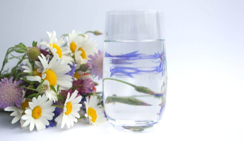 Um ouquet de b dos wildflowers encontra-se ao lado de um vidro da água potável Um ramalhete das margaridas, das flores do trevo, fotos de stock Um ouquet de b dos wildflowers encontra-se ao lado de um vidro da água potável Um ramalhete das margaridas, das flores do trevo, fotos de stock