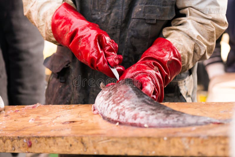 Um Pescador a Cortar um Peixe fotografia de stock royalty free