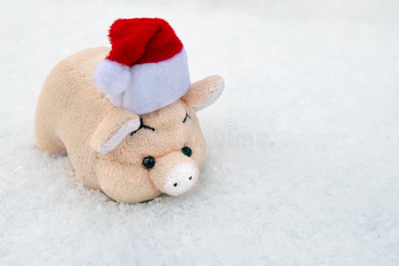 Um porco macio do brinquedo em um chapéu vermelho de Santa Claus na neve recentemente caída branca Copie o espaço Símbolo do ano foto de stock Um porco macio do brinquedo em um chapéu vermelho de Santa Claus na neve recentemente caída branca Copie o espaço Símbolo do ano foto de stock