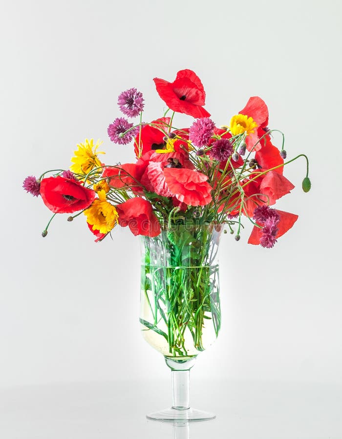 Um ramalhete de flores das papoilas de campo em um vaso de vidro fotografia de stock royalty free Um ramalhete de flores das papoilas de campo em um vaso de vidro fotografia de stock royalty free