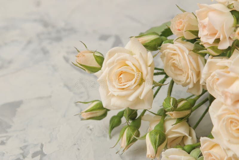 Um ramalhete de mini rosas macias bonitas em um fundo do betão leve Espaço para o texto fotografia de stock Um ramalhete de mini rosas macias bonitas em um fundo do betão leve Espaço para o texto fotografia de stock