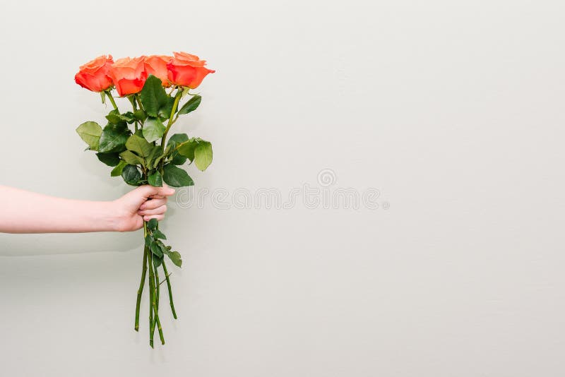 Um ramalhete de rosas coloridas A mão de uma moça guarda rosas bonitas Uma mulher guarda para fora uma mão com um ramalhete das f imagem de stock royalty free Um ramalhete de rosas coloridas A mão de uma moça guarda rosas bonitas Uma mulher guarda para fora uma mão com um ramalhete das f imagem de stock royalty free